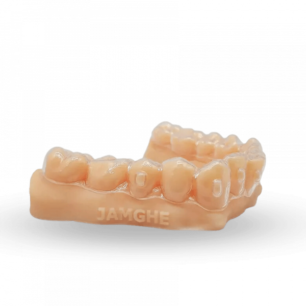 Jamg He Ortho Model - Image 2