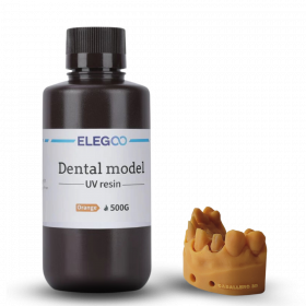 Elegoo Dental Model