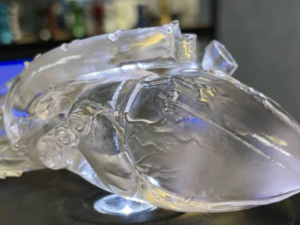 Monocure 3D Crystal Clear Pro - Image 3