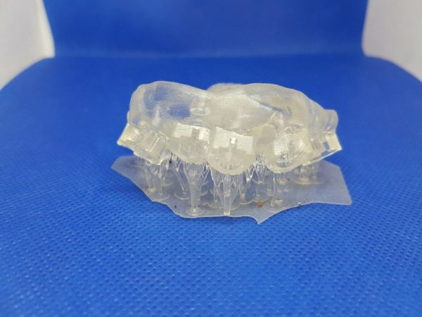 Senertek Ortho Model - Image 2