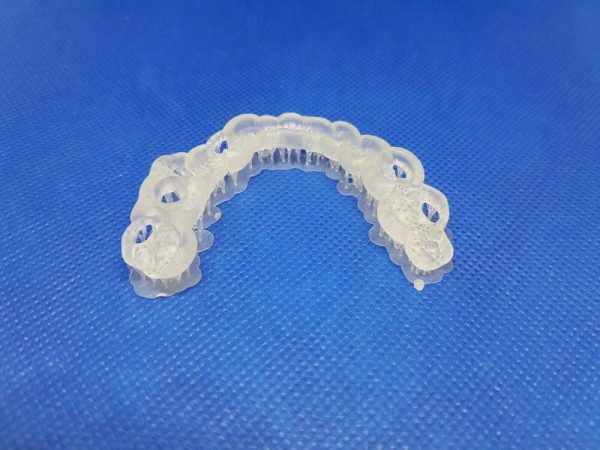 Senertek Ortho Model - Image 3